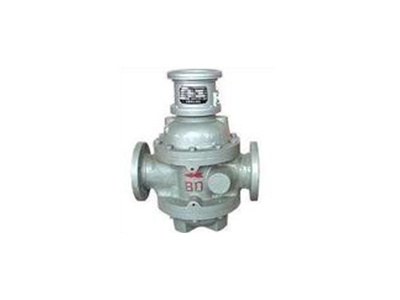 双转子流量计 双转子流量计