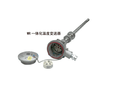 一体化温度变送器 一体化温度变送器